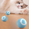 Power Ball - Interactive Cat Toy