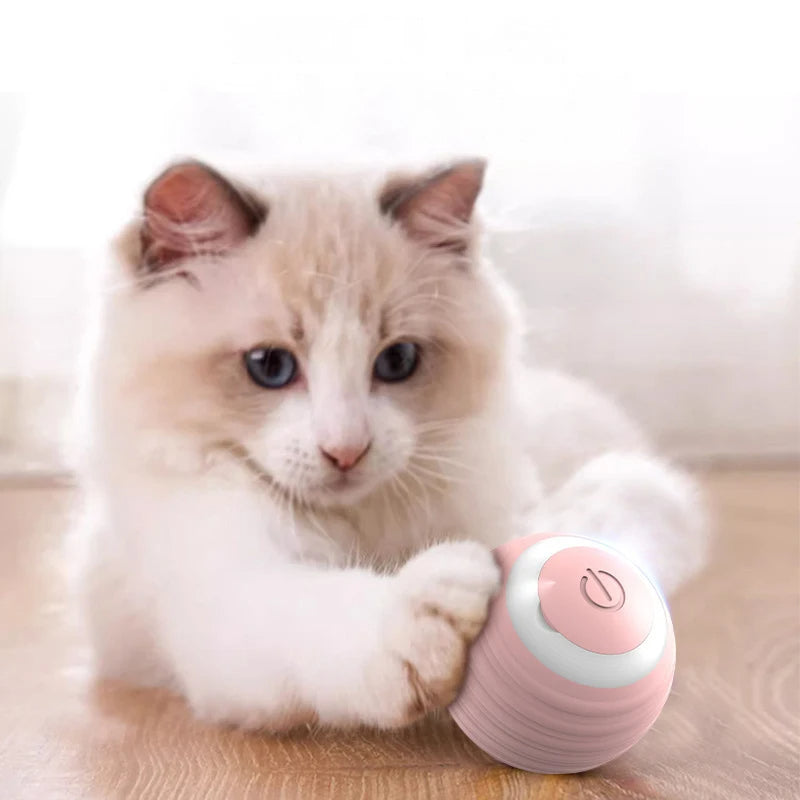 Power Ball - Interactive Cat Toy