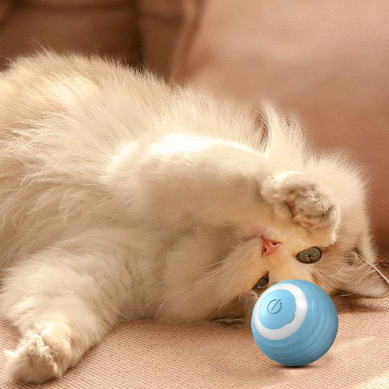 Power Ball - Interactive Cat Toy